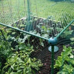 Butterfly Protection Cage -Greenworld Zone 784011B