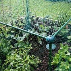 Butterfly Protection Cage -Greenworld Zone 784027A