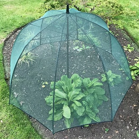 Pop N Crop Plant Protection Umbrella 2 Pop N Crop Plant Protection Umbrella - Image 2