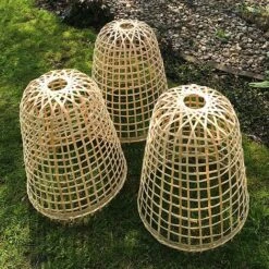 Bamboo Bell Cloche & Garden Plant Protection Cover - Large -Greenworld Zone Bamboo20Cloche20pk203201000x100020992kb