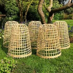 Bamboo Bell Cloche & Garden Plant Protection Cover - Large -Greenworld Zone Bamboo20Cloche20pk205201000x100020945kb