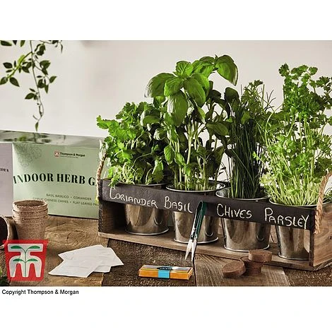 Chalk Board Herb Garden Gift Set - Gift 1 Chalk Board Herb Garden Gift Set - Gift