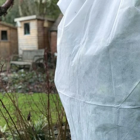 Ultimate Protection 50GSM Frost Fleece Plant Jacket - 1.6m Wide X 2m High 2 Ultimate Protection 50GSM Frost Fleece Plant Jacket - 1.6m Wide X 2m High - Image 2