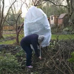 Ultimate Protection 50GSM Frost Fleece Plant Jacket - 1.6m Wide X 2m High 8 Ultimate Protection 50GSM Frost Fleece Plant Jacket - 1.6m Wide X 2m High -Greenworld Zone Fleece20Cover201000x100020858kb2