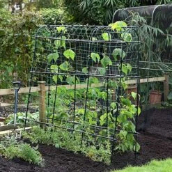 Garden Gear Pea & Bean Tunnel 1.8 X 1.8m