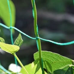 Garden Gear Pea & Bean Tunnel 1.8 X 1.8m 7 Garden Gear Pea & Bean Tunnel 1.8 X 1.8m -Greenworld Zone G4460 PEATUNNEL 3