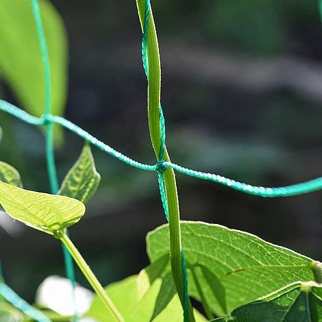 Garden Gear Pea & Bean Tunnel 1.8 X 1.8m 3 Garden Gear Pea & Bean Tunnel 1.8 X 1.8m - Image 3