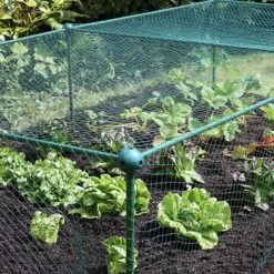 Build-a-Cage Modular Fruit & Vegetable Cage Kit - 0.625m High With Bird Mesh -Greenworld Zone GLD 0.625PIC5