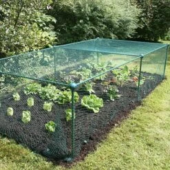 Build-a-Cage Modular Fruit & Vegetable Cage Kit - 0.625m High With Bird Mesh -Greenworld Zone GLD 0.625PIC7