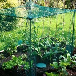 Build-a-Cage Modular Fruit & Vegetable Cage Kit - 1.25m High With Bird Mesh -Greenworld Zone GLD 1.25PIC2 1