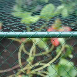 Build-a-Cage Modular Fruit & Vegetable Cage Kit - 1.875m High With Butterfly Mesh -Greenworld Zone GLD 1.875PIC1