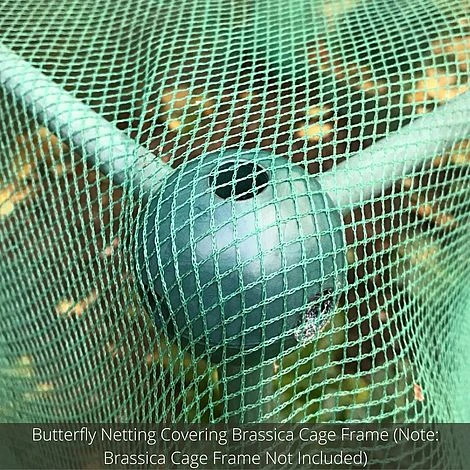 Soft Butterfly Mesh Netting For Cabbages Brassicas & Plants - 6m Wide 4 Soft Butterfly Mesh Netting For Cabbages Brassicas & Plants - 6m Wide - Image 4