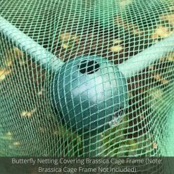 Soft Butterfly Mesh Netting For Cabbages Brassicas & Plants - 8m Wide -Greenworld Zone GLD20BUILD20A20CAGE20PIC20100020x100020850kb2