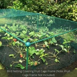 Bird Block Soft Bird Mesh Netting For Fruit Veg & Plants - 6m Wide -Greenworld Zone GLD20Build20a20Cage201000x100020840kb2