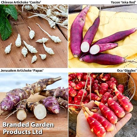 Gourmet Roots Collection 1 Gourmet Roots Collection