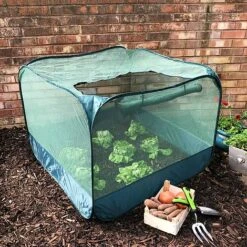 New Products 1 Pop Up Strawberry & Salad Fruit Cage Plant Cover