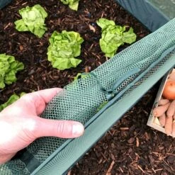 Pop Up Strawberry & Salad Fruit Cage Plant Cover -Greenworld Zone GPN100 02PIC3