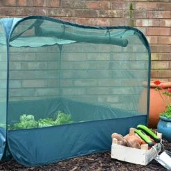 Pop Up Strawberry & Salad Fruit Cage Plant Cover -Greenworld Zone GPN100 02PIC4