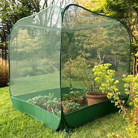 Pop Up Fruit Cage & Brassica Grow-House - 1.35m High 1 Pop Up Fruit Cage & Brassica Grow-House - 1.35m High