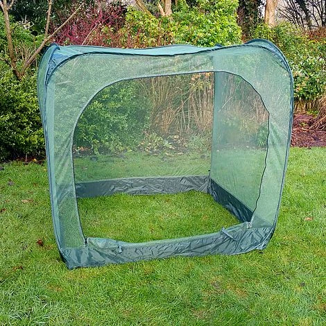 Pop Up Cabbage & Brassica Vegetable Cage Plant Cover 2 Pop Up Cabbage & Brassica Vegetable Cage Plant Cover - Image 2