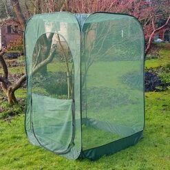 Pop Up Raspberry Fruit Cage & Plant Cover