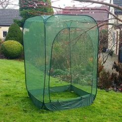 Pop Up Raspberry Fruit Cage & Plant Cover -Greenworld Zone GPN100 08PIC3