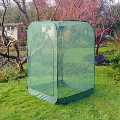Pop Up Raspberry Fruit Cage & Plant Cover -Greenworld Zone GPN100 08PIC5