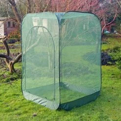 Pop Up Raspberry Fruit Cage & Plant Cover -Greenworld Zone GPN100 08PIC6