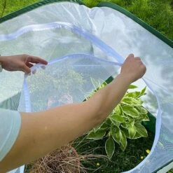 Pop Up Insect Net Fruit Cage & Vegetable Protection Cover 9 Pop Up Insect Net Fruit Cage & Vegetable Protection Cover -Greenworld Zone GPN100 092020125 09201000X100020773KB