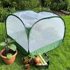 Pop Up Insect Net Fruit Cage & Vegetable Protection Cover 8 Pop Up Insect Net Fruit Cage & Vegetable Protection Cover -Greenworld Zone GPN100 092020125 09201000X100020847KB
