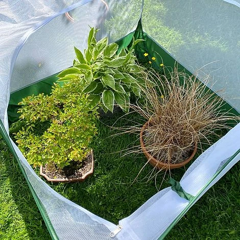 Pop Up Insect Net Fruit Cage & Vegetable Protection Cover 5 Pop Up Insect Net Fruit Cage & Vegetable Protection Cover - Image 5