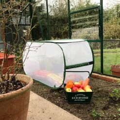 Pop Up Insect Mesh Garden Grow Bag Cover & Vegetable Cloche -Greenworld Zone GPN100 1120INSECT20GROW20BAG20CAGE201000X100020869KB