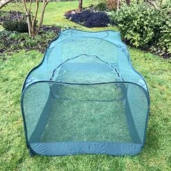 Giant Pop Up Fruit Cage & Plant Protection Cover 8 Giant Pop Up Fruit Cage & Plant Protection Cover -Greenworld Zone GPN100 50PIC1