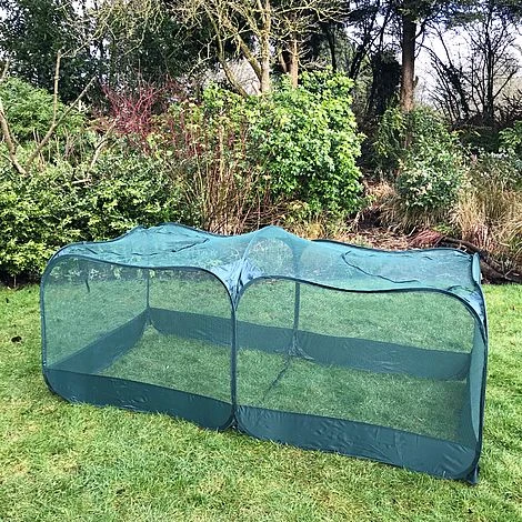 Giant Pop Up Fruit Cage & Plant Protection Cover 5 Giant Pop Up Fruit Cage & Plant Protection Cover - Image 5
