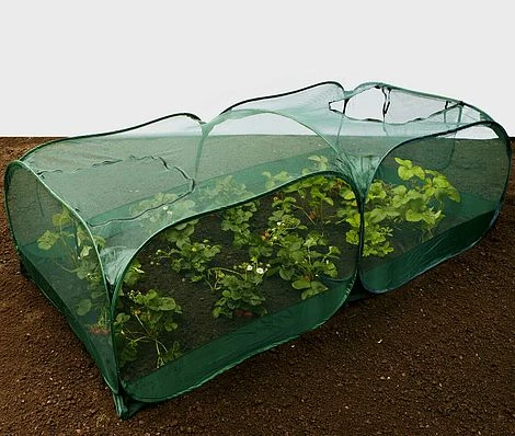 Giant Pop Up Fruit Cage & Plant Protection Cover 6 Giant Pop Up Fruit Cage & Plant Protection Cover - Image 6