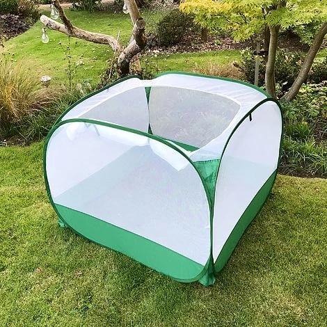 Pop Up Insect Net Fruit Cage & Vegetable Protection Cover 2 Pop Up Insect Net Fruit Cage & Vegetable Protection Cover - Image 2