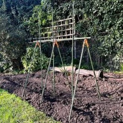 Heavy Duty Tomato Cage Planter & Extendable Plant Support Frame For Grow Bags Greenhouse & Raised Beds -Greenworld Zone GSK201000X100020986KB