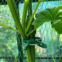 Telescopic Extendable Tomato & Cucumber Climbing Plant Support Stakes -Greenworld Zone GSK2270TOMATO201000X100020701KB