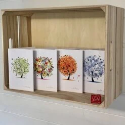 Silver Birch Tree (Betula Pendula) Grown By Cotswold Trees -Greenworld Zone IMG 1416202