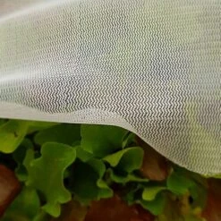 Insect Mesh Carrot & Plant Protection Netting - 1.5m Wide - Various Sizes -Greenworld Zone Insect20Netting20947x94720847kb