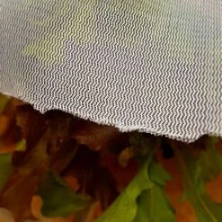 Insect Mesh Carrot & Plant Protection Netting - 1.5m Wide - Various Sizes -Greenworld Zone Insect20Netting20966x96620957kb
