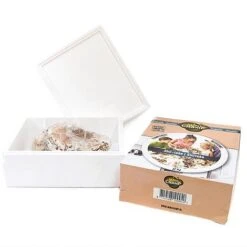 Mushroom Windowsill Kit - Shiitake -Greenworld Zone KITS MUSHROOM T28359