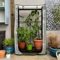 Multiflex Patio & Balcony Greenhouse Grow House & Plant Cover 11 Multiflex Patio & Balcony Greenhouse Grow House & Plant Cover -Greenworld Zone MULTIFLEX20POLY20100020X20100020837KB