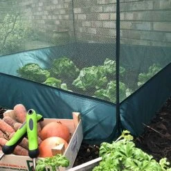 Pop Up Fruit And Vegetable Cage Grow-House (0.65m High) -Greenworld Zone Pop20Up20Net20Cage200.65201000x100020967kb