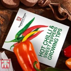 Red Hot Chilli & Sweet Peppers Growing Kit - Gift -Greenworld Zone REDH KA8274 D