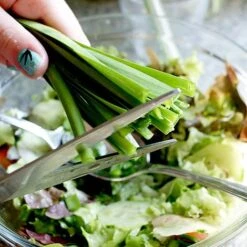 Allium 'Quattro' 7 Allium 'Quattro' -Greenworld Zone VEALL35203