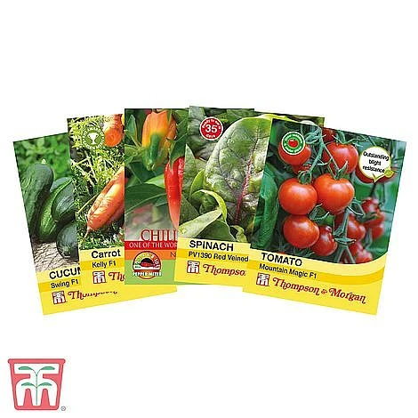 Vegetable Bumper Pack 3 Vegetable Bumper Pack - Image 3