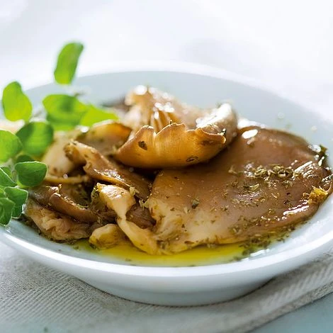 Mushroom Windowsill Kit - Oyster 3 Mushroom Windowsill Kit - Oyster - Image 3