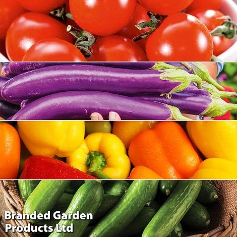 Vegetable Bumper Pack 2 Vegetable Bumper Pack - Image 2