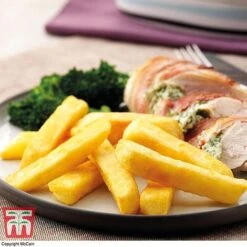 Potato 'T&M All Year Round Collection' -Greenworld Zone mcprem2